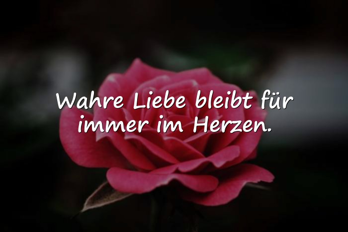 Bilder mit sprüche über die liebe - 3