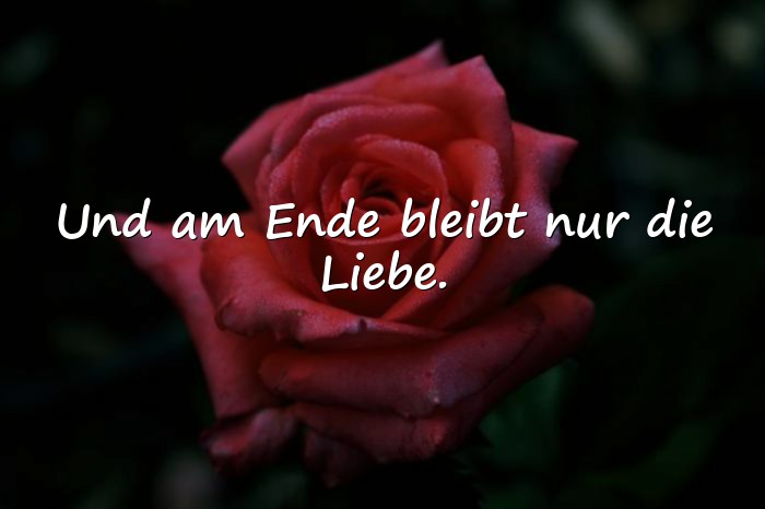 Bilder mit sprüche über die liebe - 1