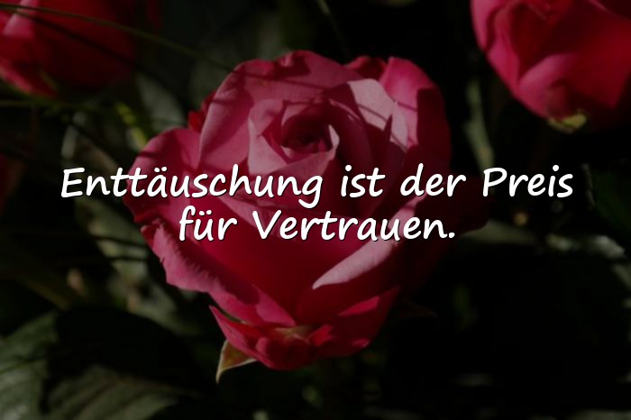 Bilder mit sprüche über enttäuschung - 19