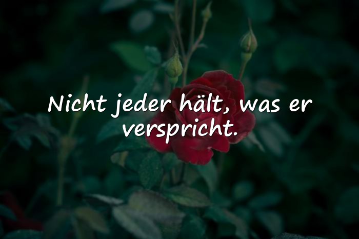 Bilder mit sprüche über enttäuschung - 10