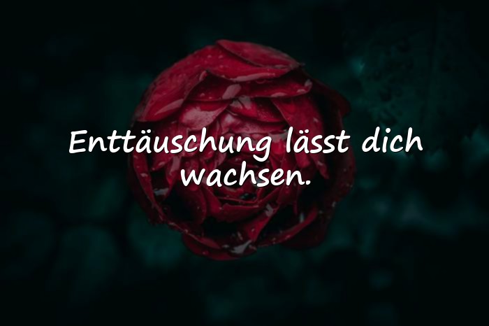 Bilder mit sprüche über enttäuschung - 15