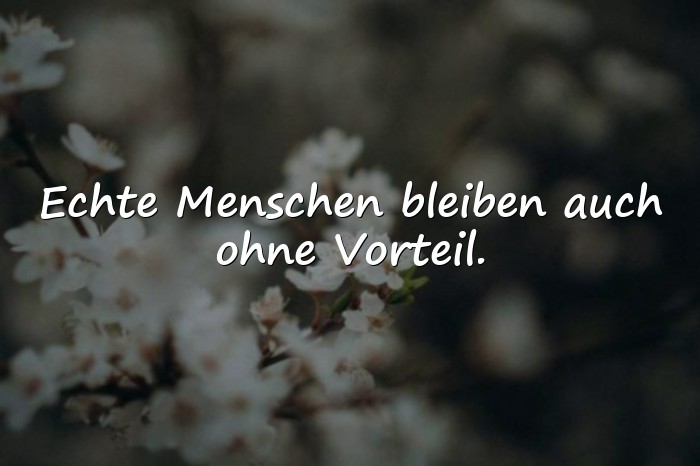 Bilder mit sprüche über falsche menschen - 8