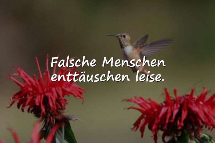 Bilder mit sprüche über falsche menschen - 4