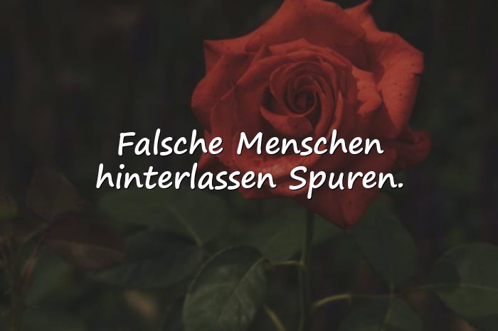 Bilder mit sprüche über falsche menschen - 14
