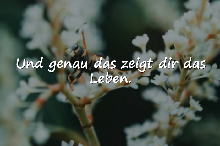 Bilder mit sprüche über falsche menschen - 1