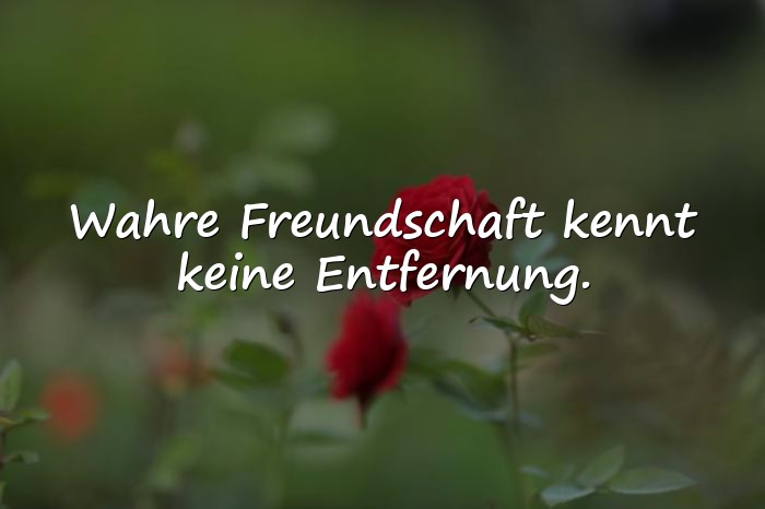 Bilder mit sprüche über freundschaft - 3