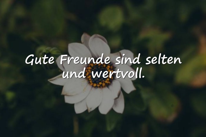 Bilder mit sprüche über freundschaft - 25