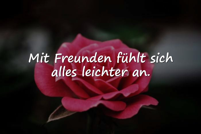 Bilder mit sprüche über freundschaft - 19