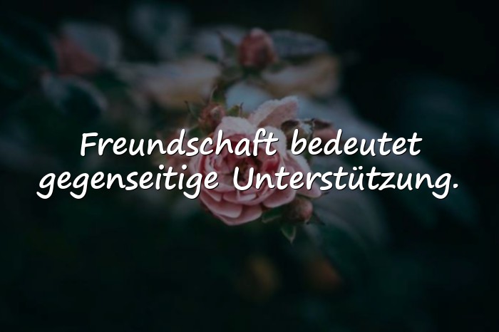 Bilder mit sprüche über freundschaft - 16