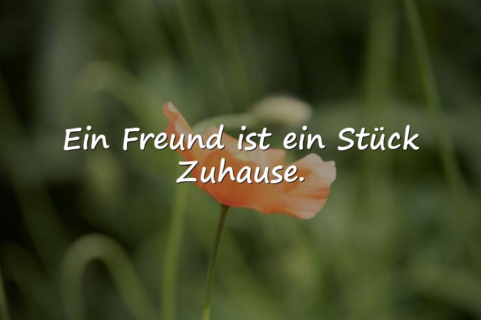 Bilder mit sprüche über freundschaft - 13