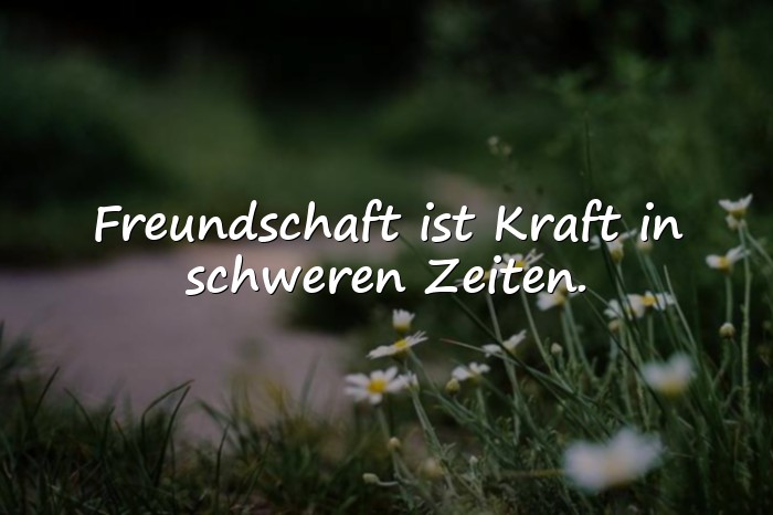 Bilder mit sprüche über freundschaft - 9