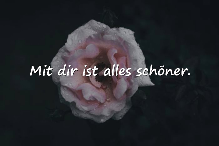 Bilder mit sprüche über freundschaft - 7