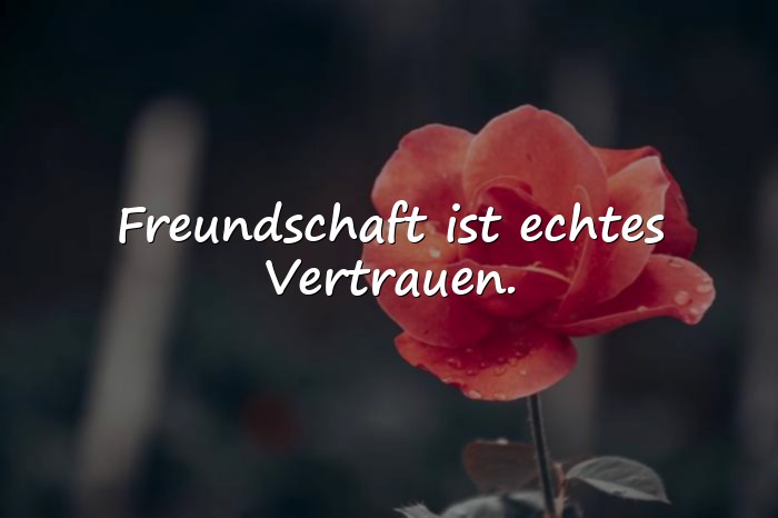 Bilder mit sprüche über freundschaft - 3