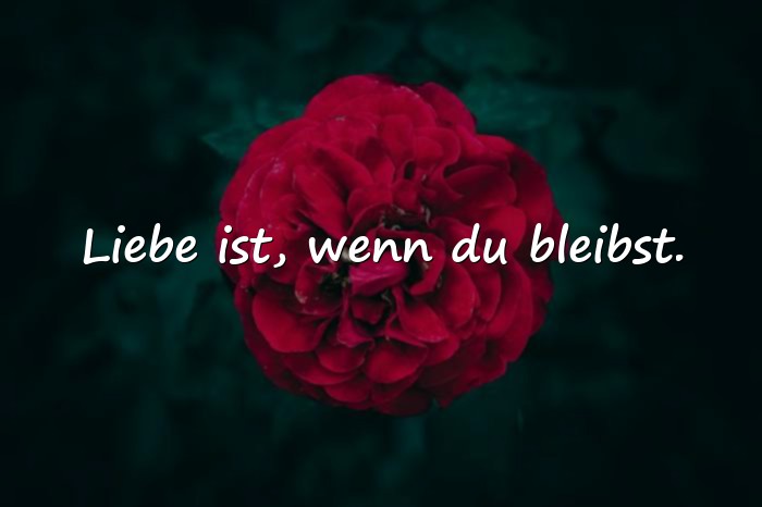 Bilder mit sprüche über liebe - 6