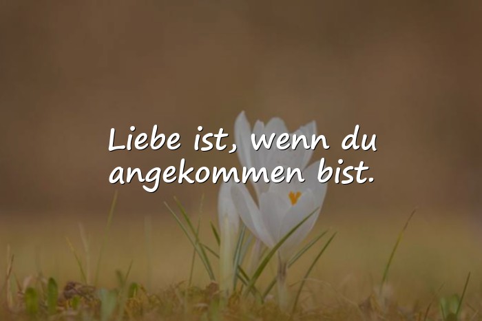 Bilder mit sprüche über liebe - 16
