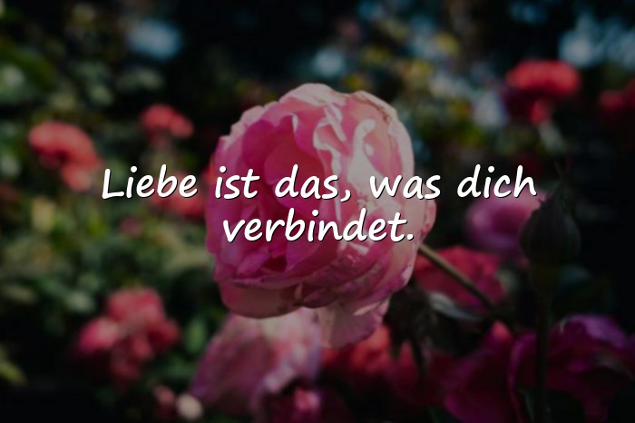 Bilder mit sprüche über liebe - 13