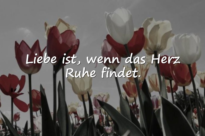 Bilder mit sprüche über liebe - 8