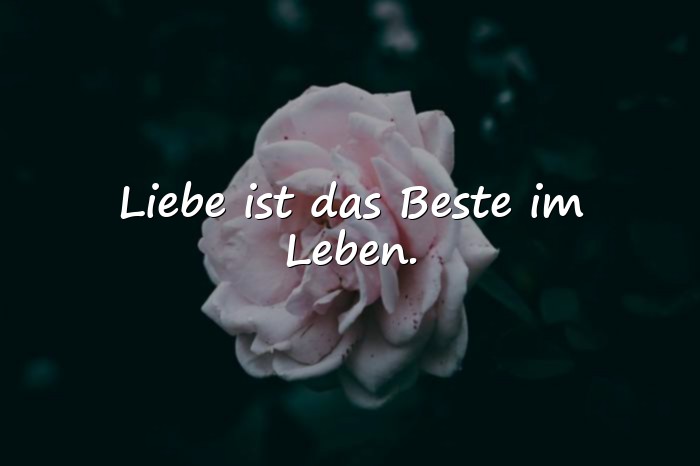 Bilder mit sprüche über liebe - 4