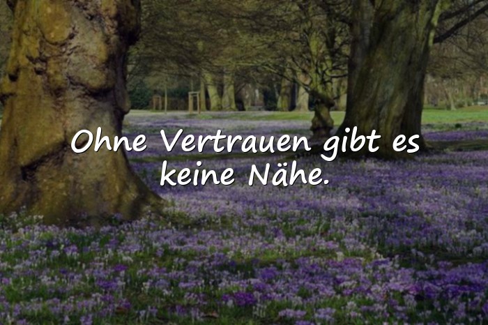 Bilder mit sprüche über vertrauen - 9