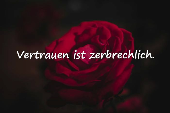 Bilder mit sprüche über vertrauen - 6
