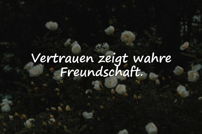 Bilder mit sprüche über vertrauen - 25