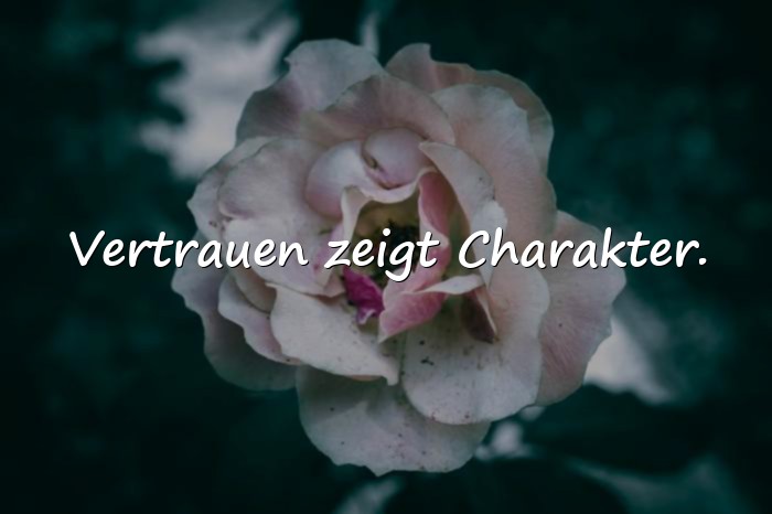 Bilder mit sprüche über vertrauen - 19