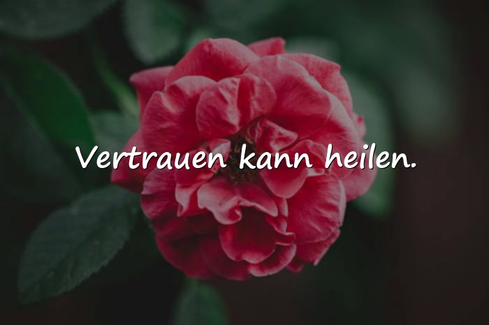 Bilder mit sprüche über vertrauen - 15