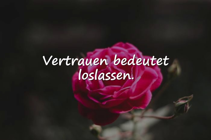 Bilder mit sprüche über vertrauen - 10