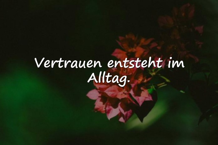 Bilder mit sprüche über vertrauen - 6
