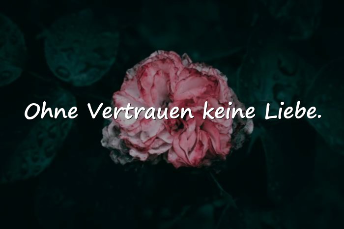 Bilder mit sprüche vertrauen - 12