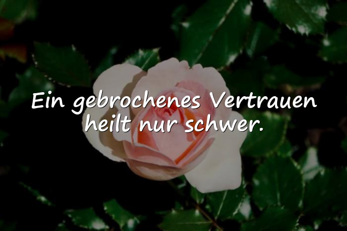Bilder mit sprüche vertrauen - 12