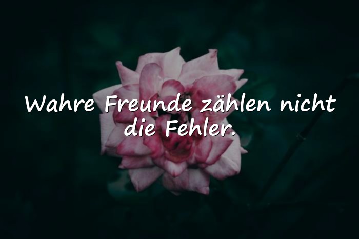 Bilder mit sprüche wahre freunde - 17