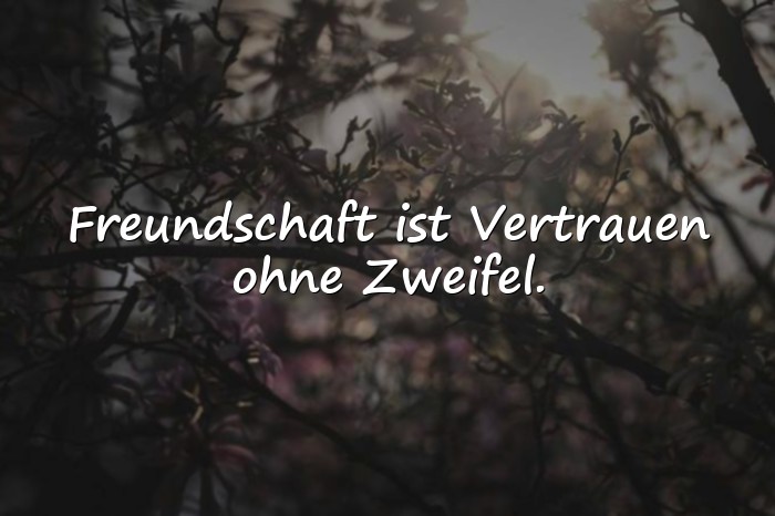 Bilder mit sprüche wahre freunde - 4