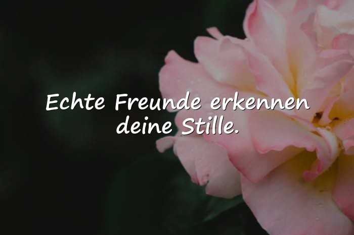 Bilder mit sprüche wahre freunde - 20