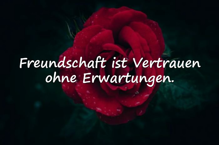 Bilder mit sprüche wahre freunde - 16
