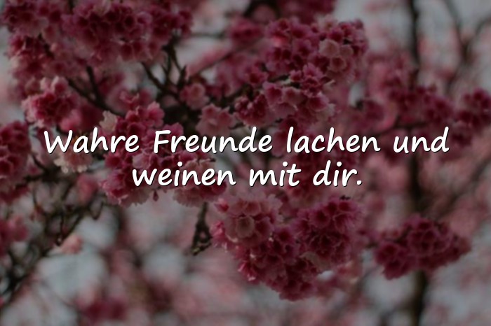 Bilder mit sprüche wahre freunde - 11