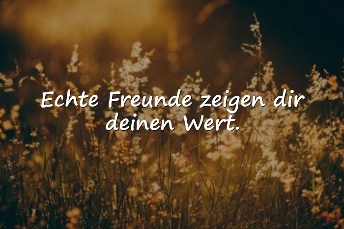 Bilder mit sprüche wahre freunde - 6