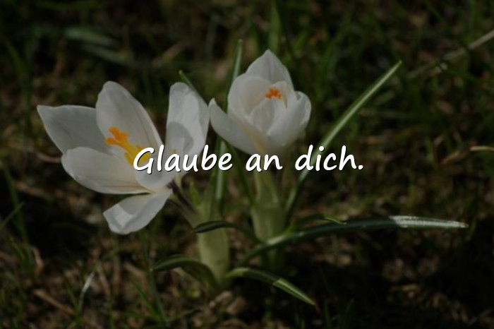 Bilder mit sprüche whatsapp - 7