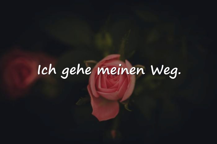 Bilder mit sprüche whatsapp - 6