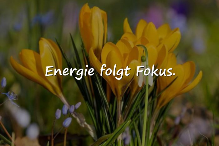 Bilder mit sprüche whatsapp - 2