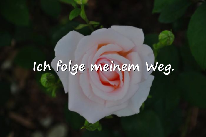 Bilder mit sprüche whatsapp - 15