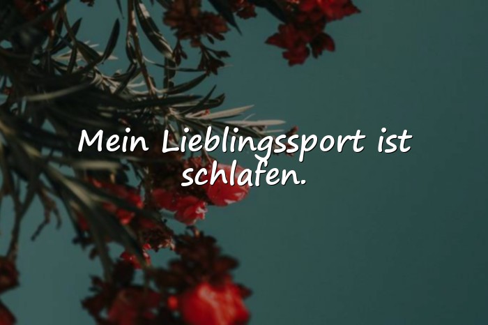 Bilder mit sprüche witzig - 18