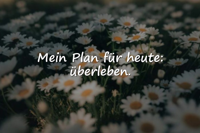 Bilder mit sprüche witzig - 14