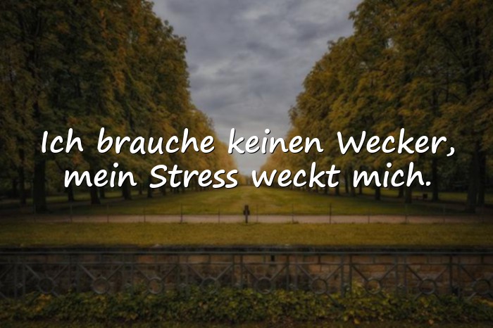 Bilder mit sprüche witzig - 9