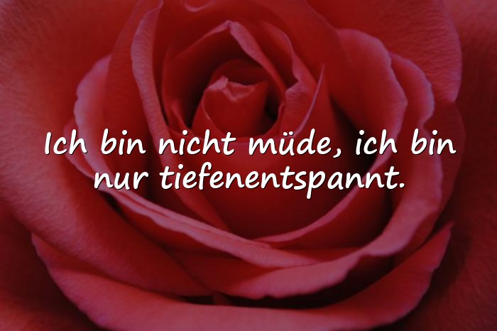 Bilder mit sprüche witzig - 5