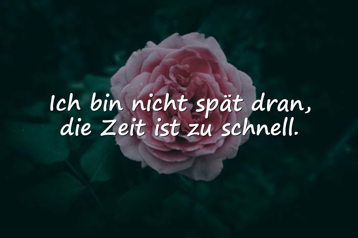 Bilder mit sprüche witzig - 25