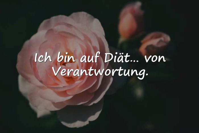Bilder mit sprüche witzig - 20