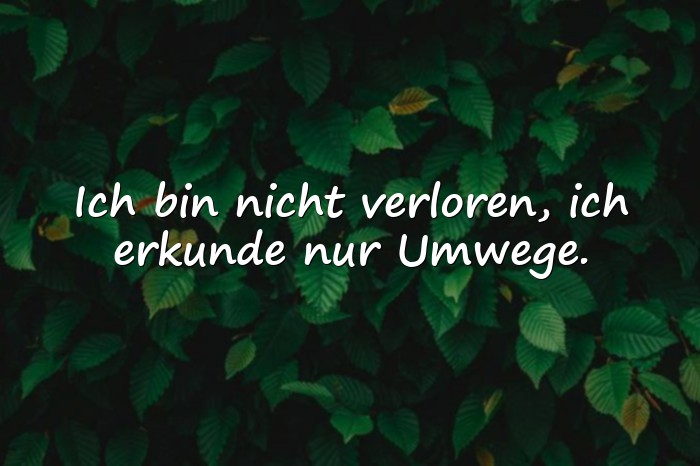 Bilder mit sprüche witzig - 10