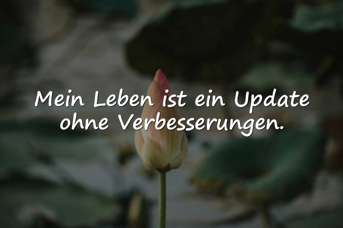 Bilder mit sprüche witzig - 5