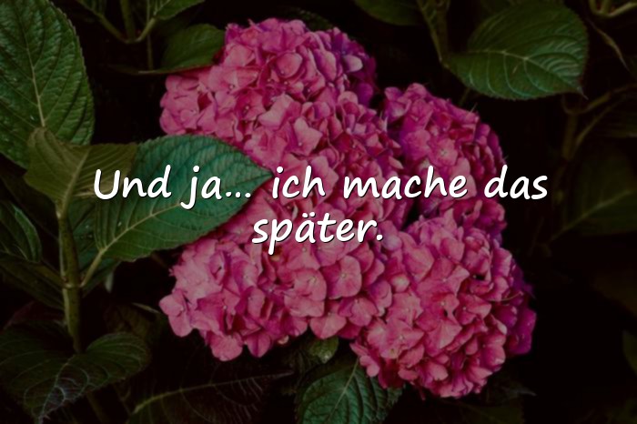 Bilder mit sprüche witzig - 1